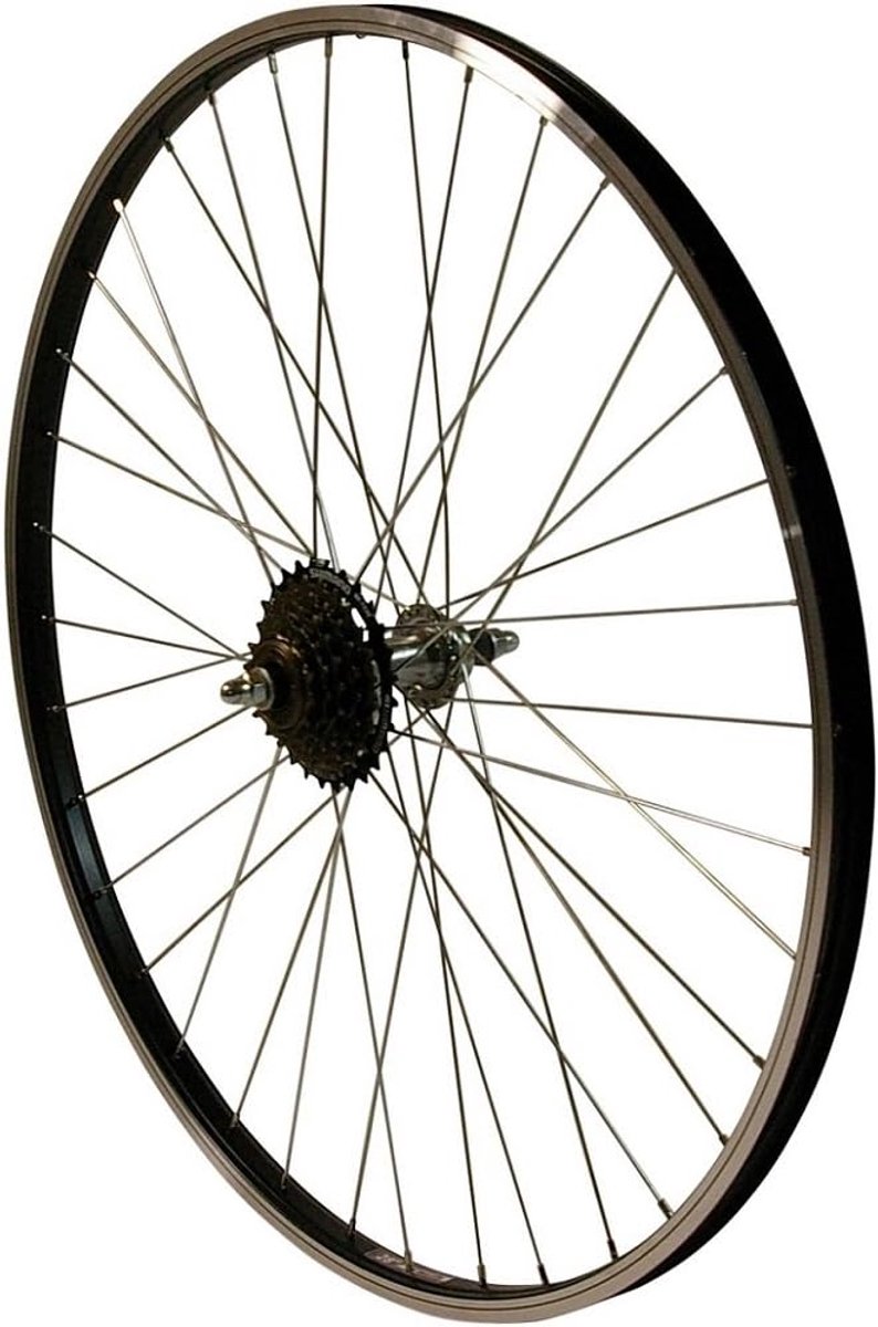 Achterwiel Fiets - Fietswiel Wiel - Fietsreparatie - Holle Kamer Velg - 26 inch - Zwart