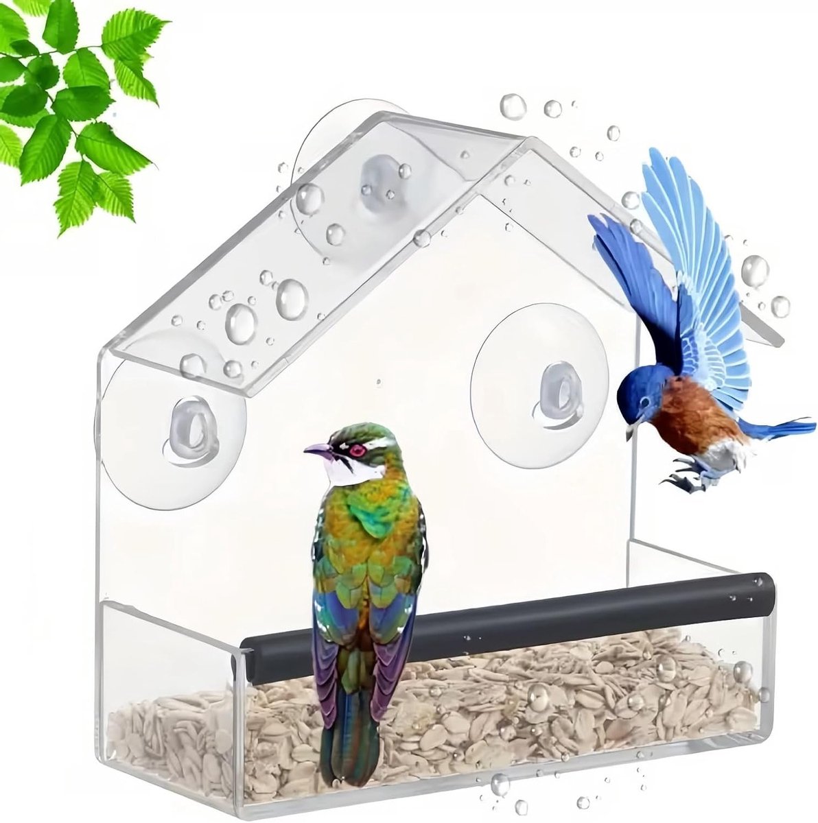 Thijox - Transparante Vogelvoederdispenser van Glas voor Ramen - Vogelvoederstation met Zuignappen voor Roodborstjes en Elsters - Duurzaam en Elegant