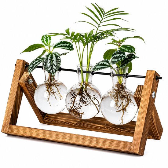 Stekstation met 3 Glazen Vaasjes – Planten Stekken op Water – Hydrocultuur Kweekstation – Voor Stekjes, Kruiden en Droogbloemen – Plantencadeau