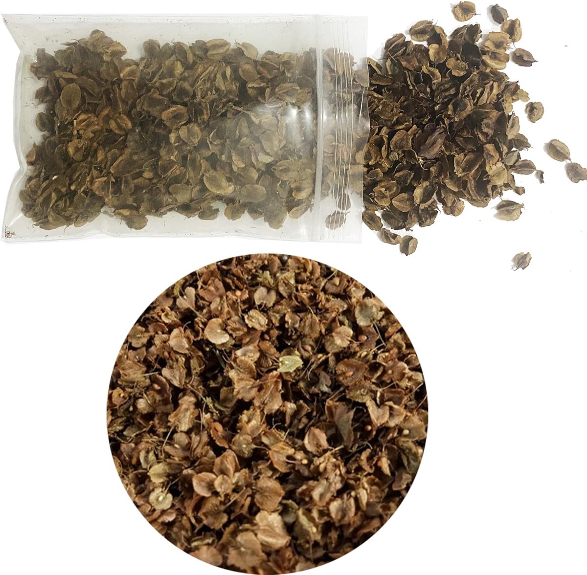 SnelShoppen - Miniatuur Bladeren voor Diorama's en Model Landschappen - Realistische Bladeren 80ml - Ideaal voor Treinen, Fairy Gardens, en Poppenhuiz