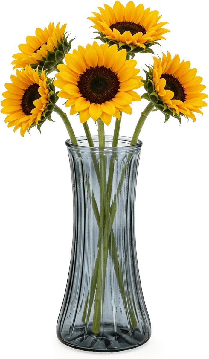 SnelShoppen - Glass Vase 28cm - Tulip Vase - Decoratieve Vaasje voor Woonkamer - Hoogwaardige Glas Vaas voor Bruiloft en Thuisdecoratie