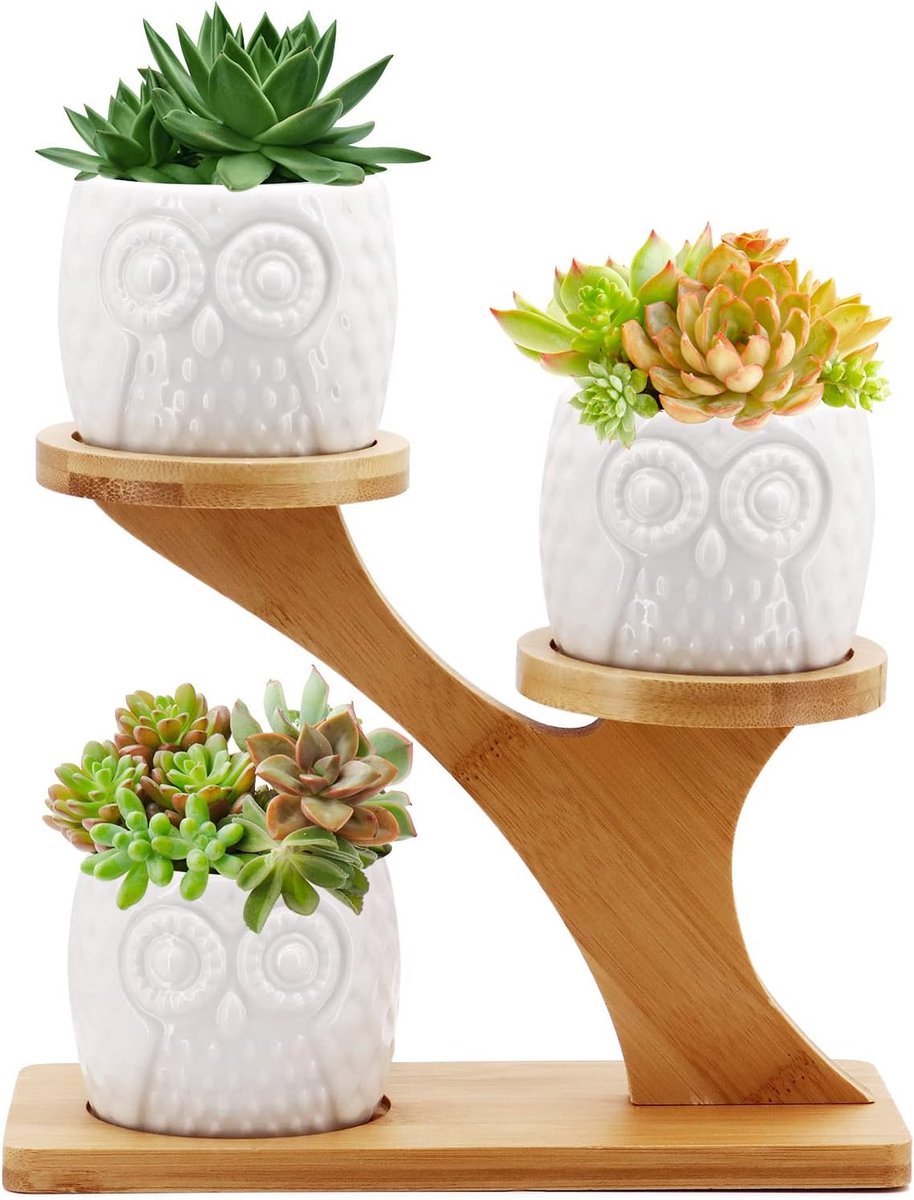 SnelShoppen - Set van 3 Succulent Potten, Keramische Bloempotten met Bamboe Onderzetters voor Cactus Planten, Decoratie voor Thuis en Kantoor, Uil Vor