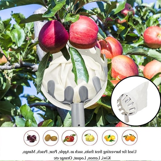 Dailygoods - Fruitplukker met 4M Uittrekbare Steel - Verlengbare Appelplukker met Katoenen Tas — afbeelding 2