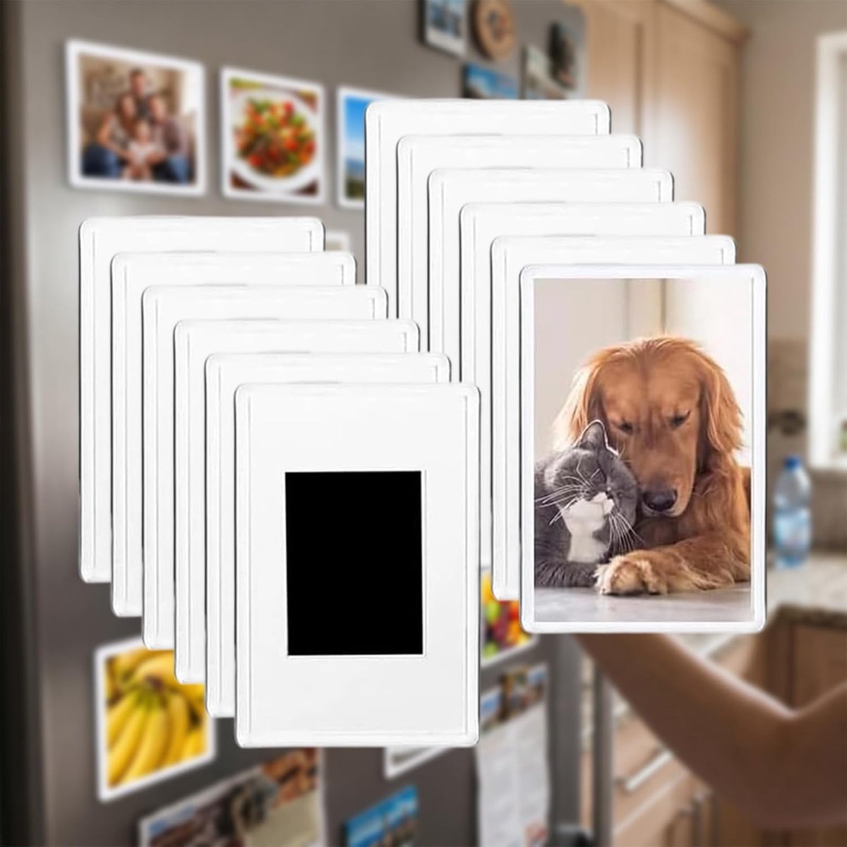 SnelShoppen - Mini magnetisch fotolijstje voor foto's - 4.5x7cm | 12 magnetische fotolijsten voor koelkast en voor familie- en huisdierfoto's - voor e