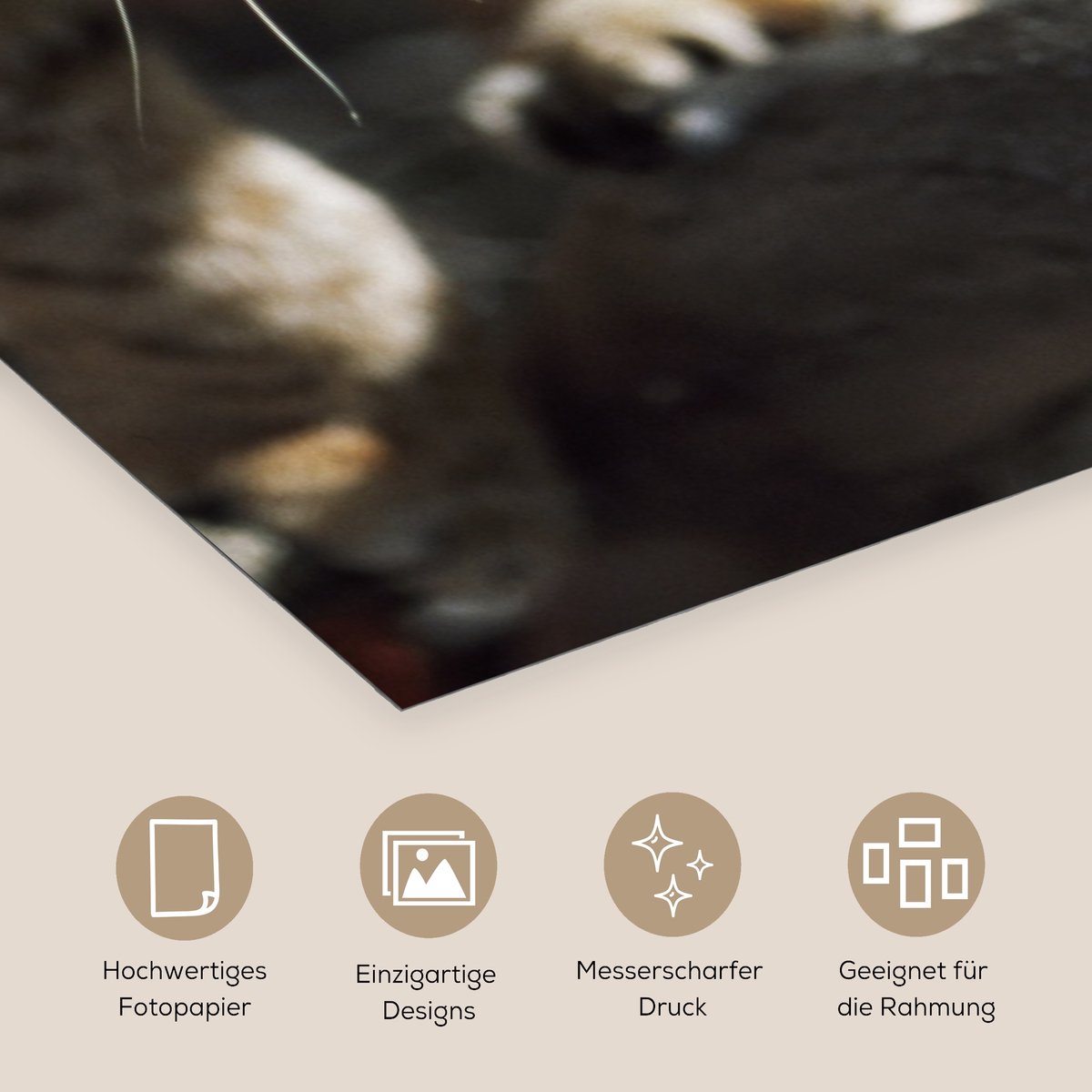Poster 80x160 cm - Lynx - Boomstam - Herfst - Posters - Kamer decoratie - Wanddecoratie wo