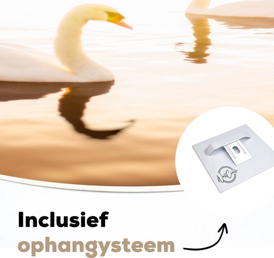 Deux cygnes nagent dans l'eau pendant un coucher de soleil lumineux Assiette en plastique cercle mural Ø 30 cm - impression photo sur cercle mural / cercle vivant (décoration murale)