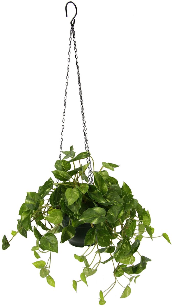 Omgoods - Kunstplant Pothos Hangampel - Kunststof en Metaal, 60 cm Hoog