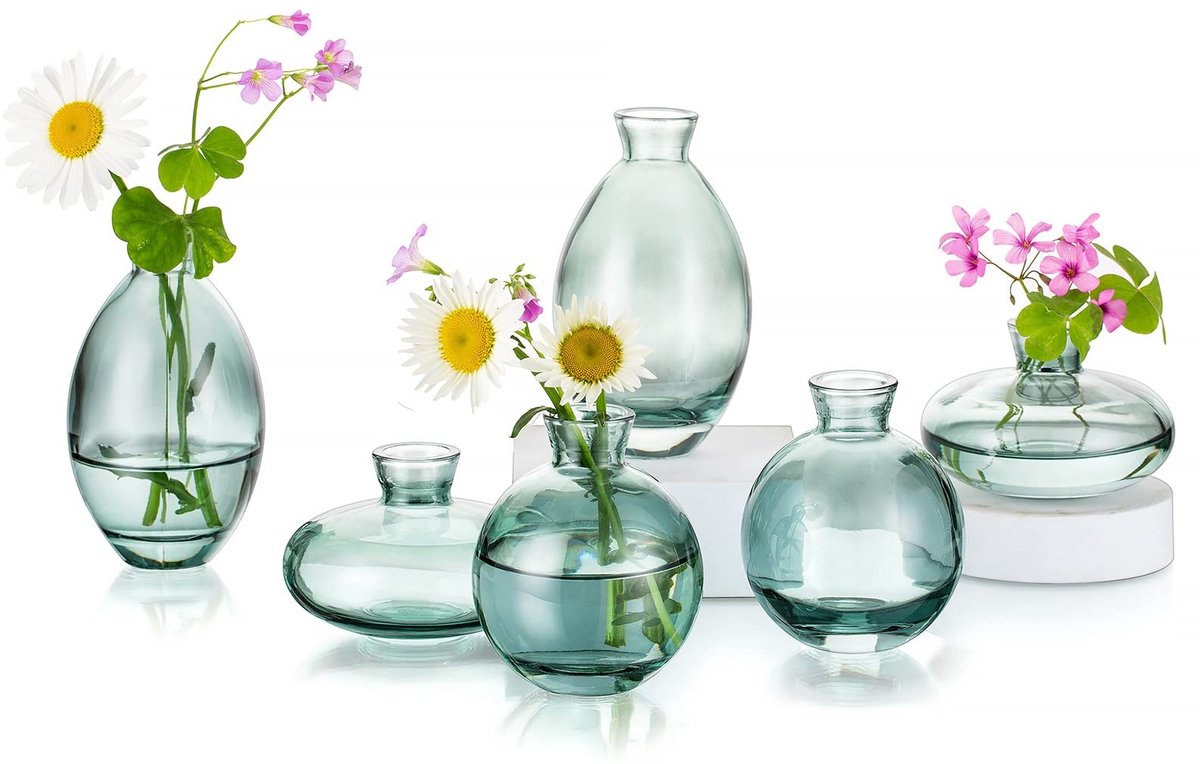 Omgoods - Set van 6 Glas Vazen voor Tafeldecoratie