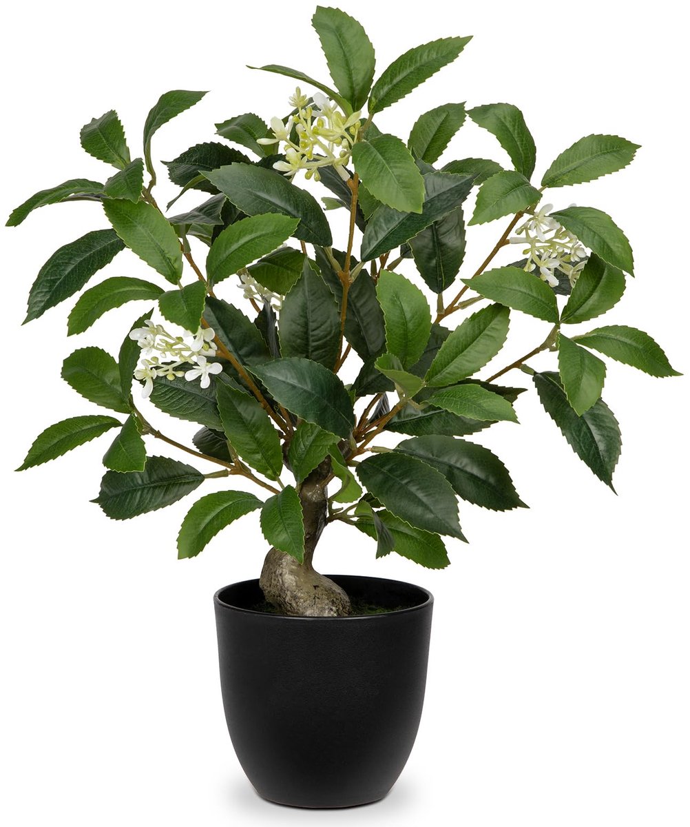 Omgoods - 40 cm Hoge Kunstplanten Indoor - Groene Laurierbomen in Zwarte Potten