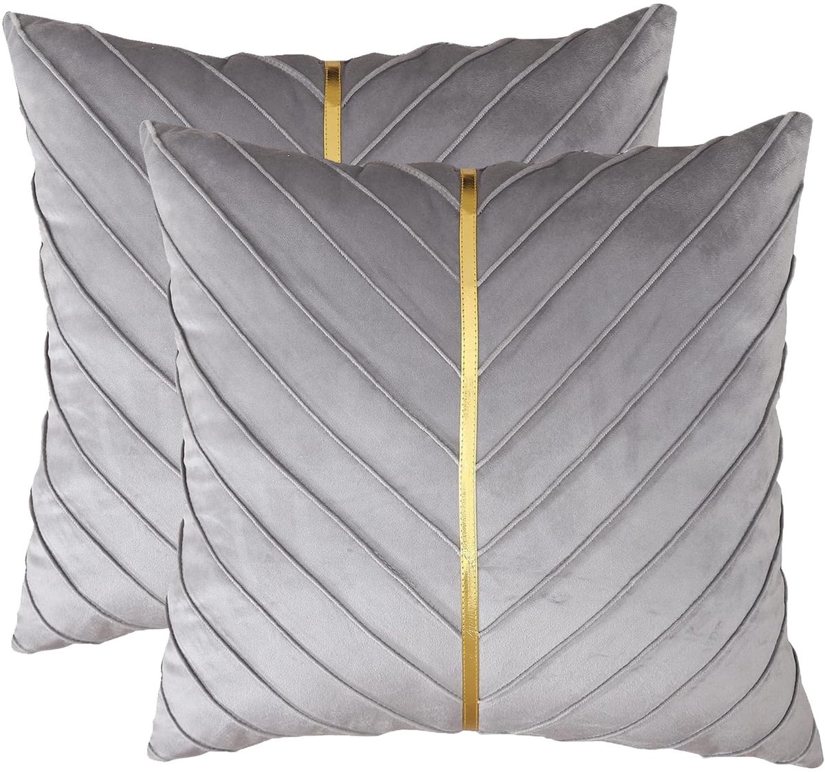 Omgoods - Set van 2 Luxe Velours Kussenhoezen met Gouden Accenten 40x40cm