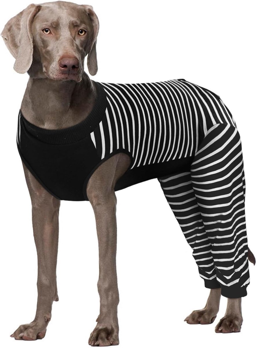 Herstelpak voor honden - vrouwelijk achterpoten postoperatief rompertje zwart 2XL