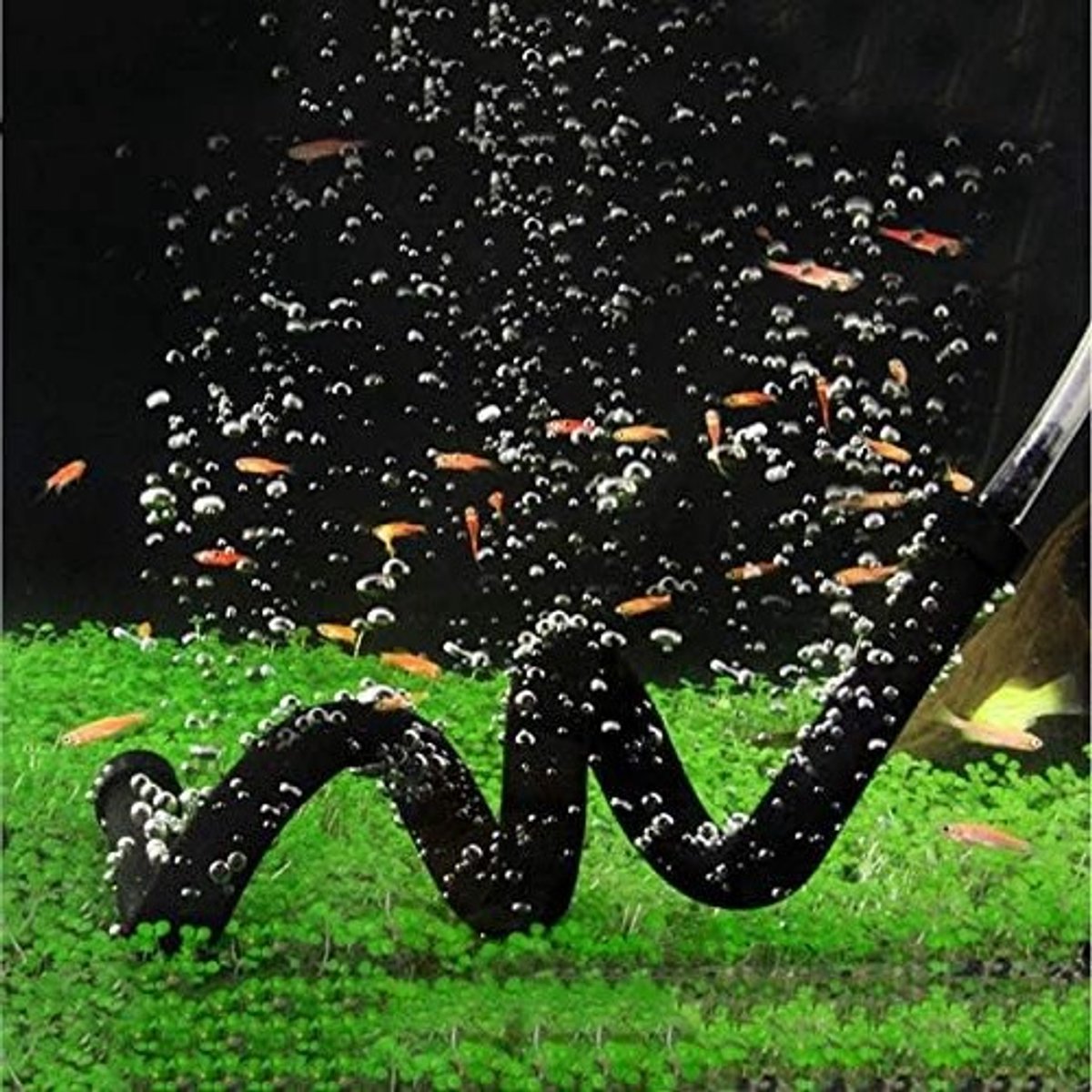 Aquarium Luchtsteen Bubbeltube voor Vis Tank, Flexibele Diffuser Slang van 90cm met Dubbele Kop voor Optimale Beluchting