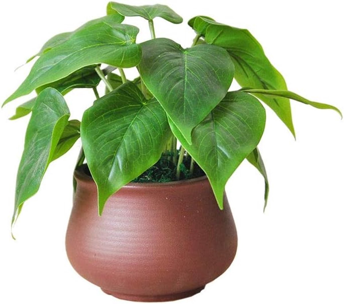 Kunstmatige Bonsai Boom - Nep Plant - Binnen Decoratie - Levenschte Textuur - 25 cm Hoog - Groen