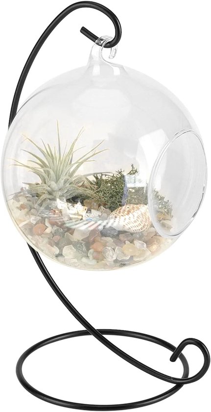 Hangende glazen bolvaas - Glazen vaas – 10 cm – Spiraalvormige ijzeren ophangstandaard – Glazen plantenbak/vaas met open bovenkant – Glazen bol-terrarium – Tafeldecoratie – Geschikt voor thuis, feestjes, bruiloften, tuinen en doe-het-zelfprojecten