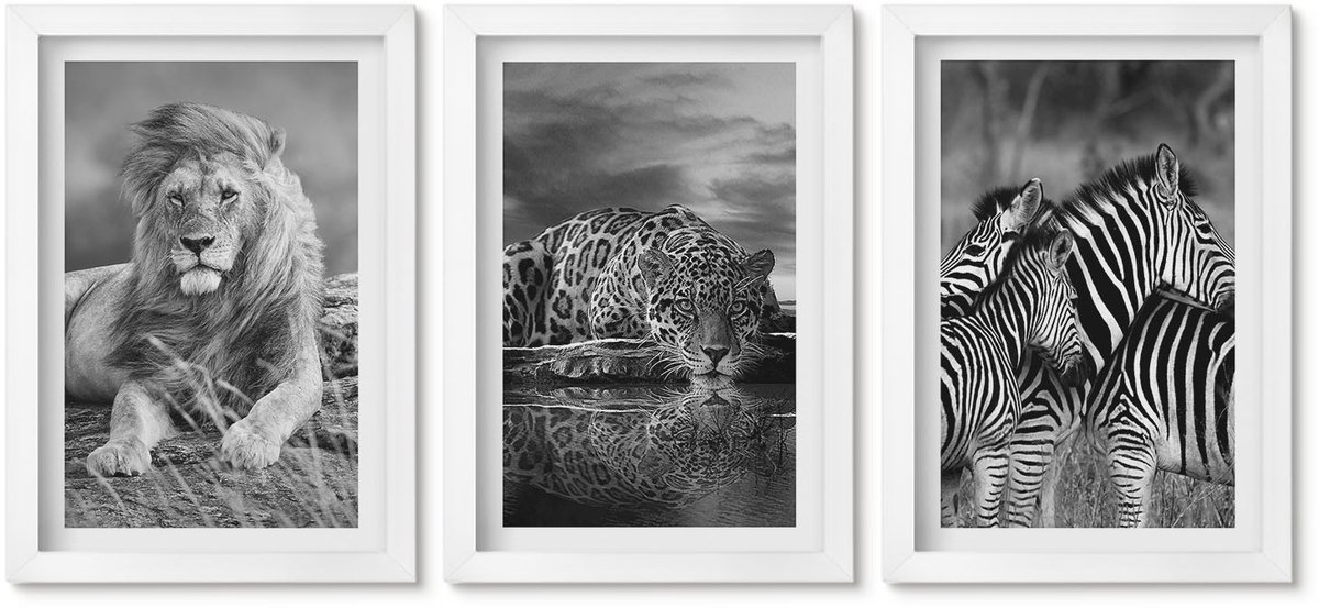 Wallfluent 3-Delige Schilderij Set - Wilde Dieren Van De Savanne: Leeuw, Jaguar En Zebra. - 20 x 30 - Stijlvolle Muurdecoratie - Kantoor - Moderne Wanddecoratie