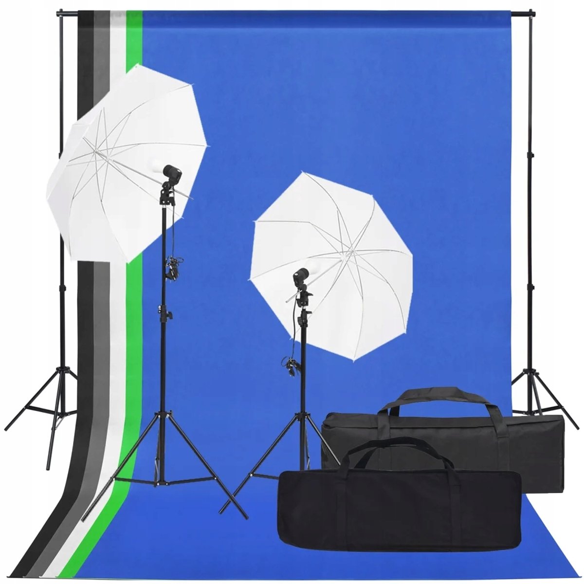 Studioset Fotografie met Verlichting 5500K en Achtergrond 1.6x3m