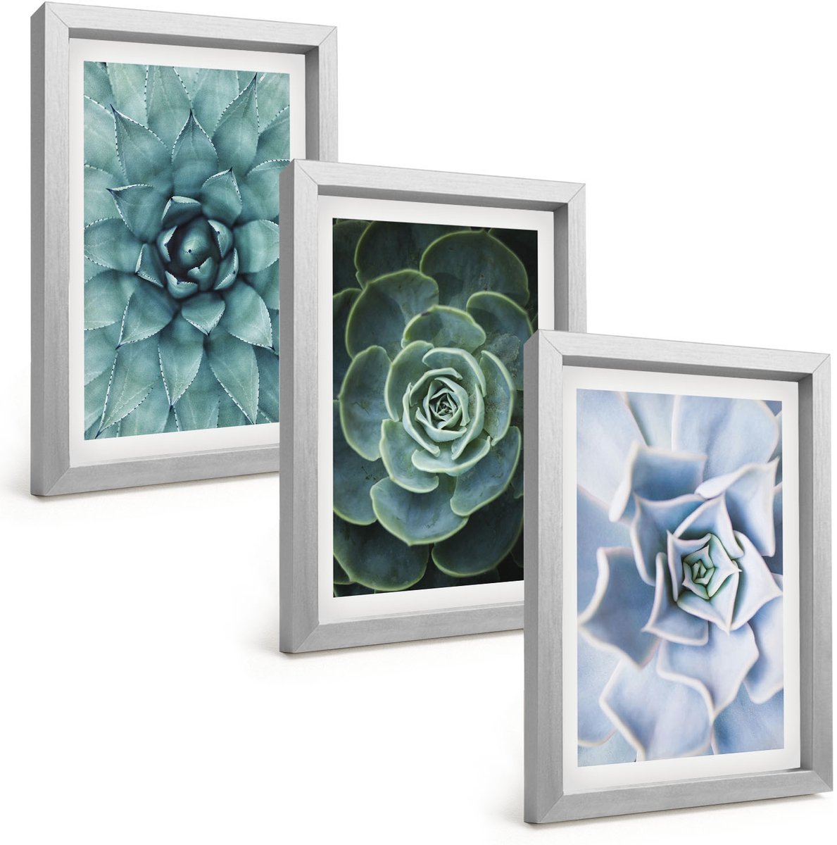 Tulup 4-Delige Schilderij Set - Vetplanten in groene en turquoise tinten. - 20 x 30 cm - Stijlvolle Muurdecoratie - Kantoor
