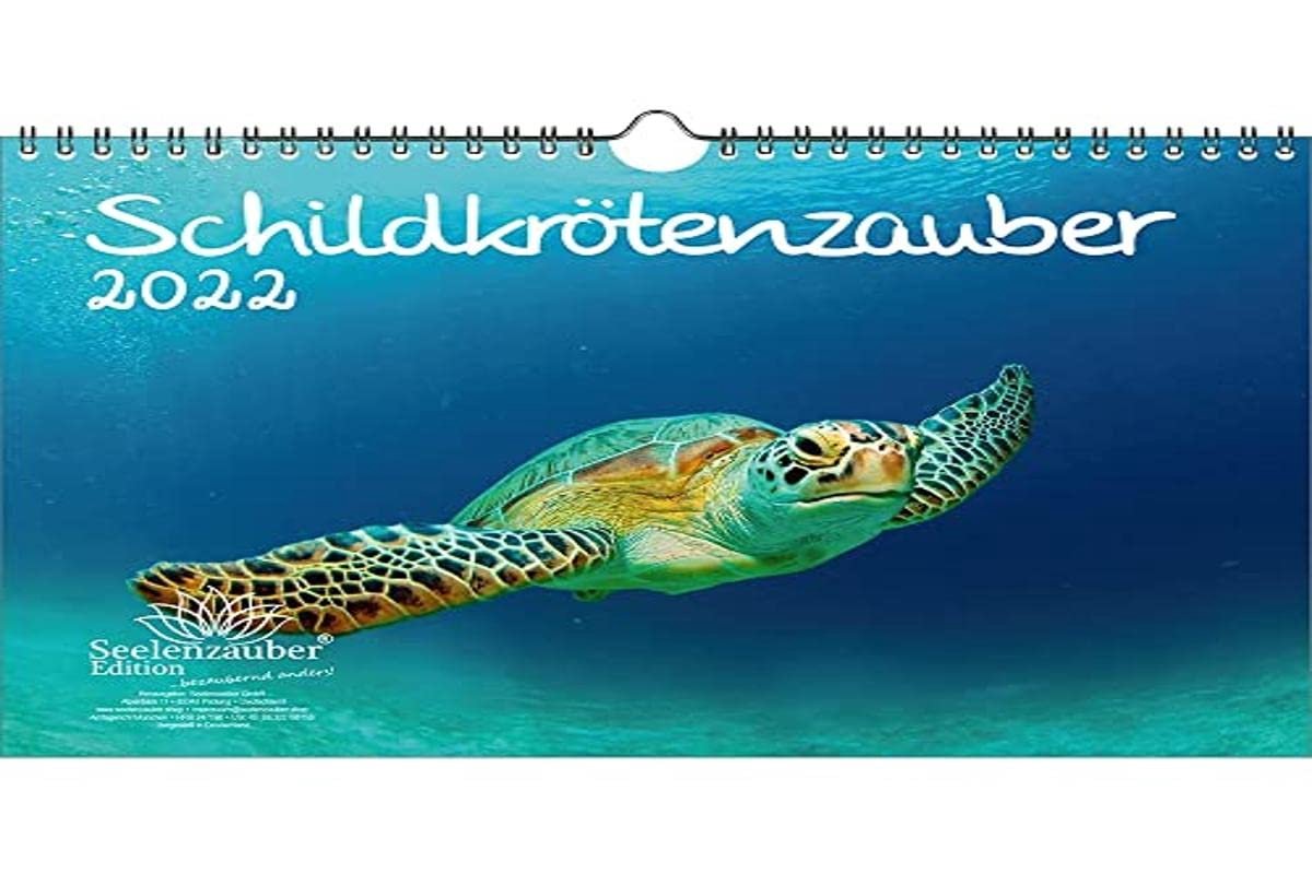 Seelenzauber Schildpad Magie DIN A4 Kalender Voor 2022 - ShopVlot