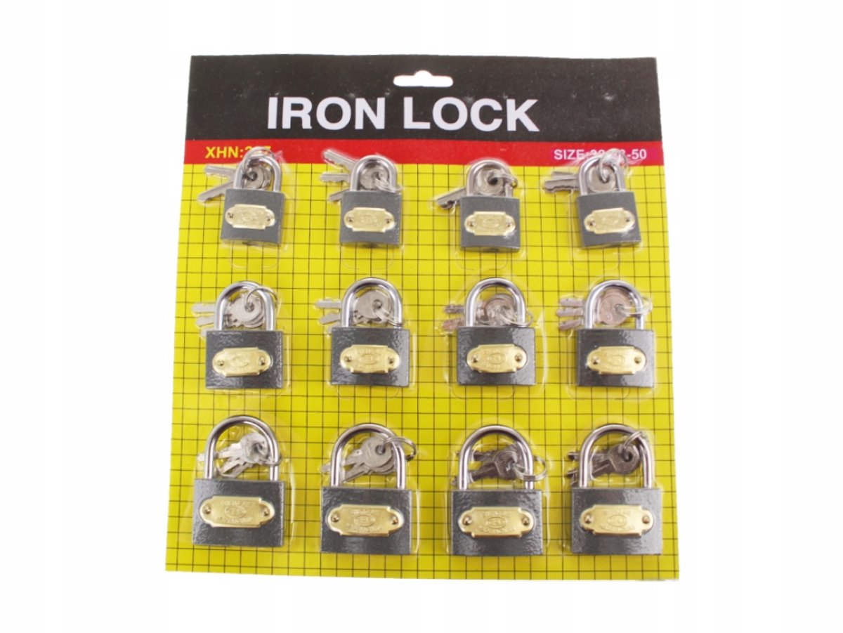 Set van 12 Metalen Hangsloten met Sleutels (32, 38, 50 mm)