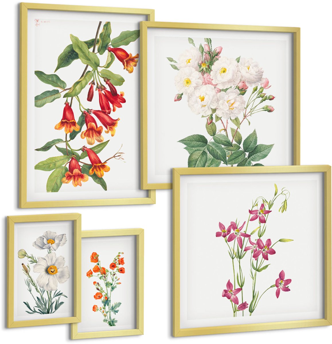 TULUP 5-Delige Schilderij Set - Bloemmotieven in botanische stijl op canvas - 50 x 50 cm, 20 x 30 cm en 40 x 60 cm - Decoratieve Schilderijen - Wanddecoratie - Hal - Stijlvolle Muurdecoratie Gouden lijst