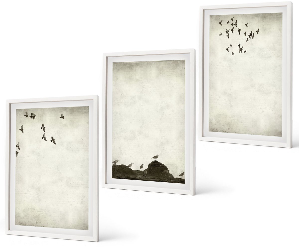 Coloray 3-Delige Schilderij Set - Vliegende Zwerm Vogels In Minimalistische Stijl - 40 x 60 - Muurdecoratie - Wanddecoratie - Slaapkamer