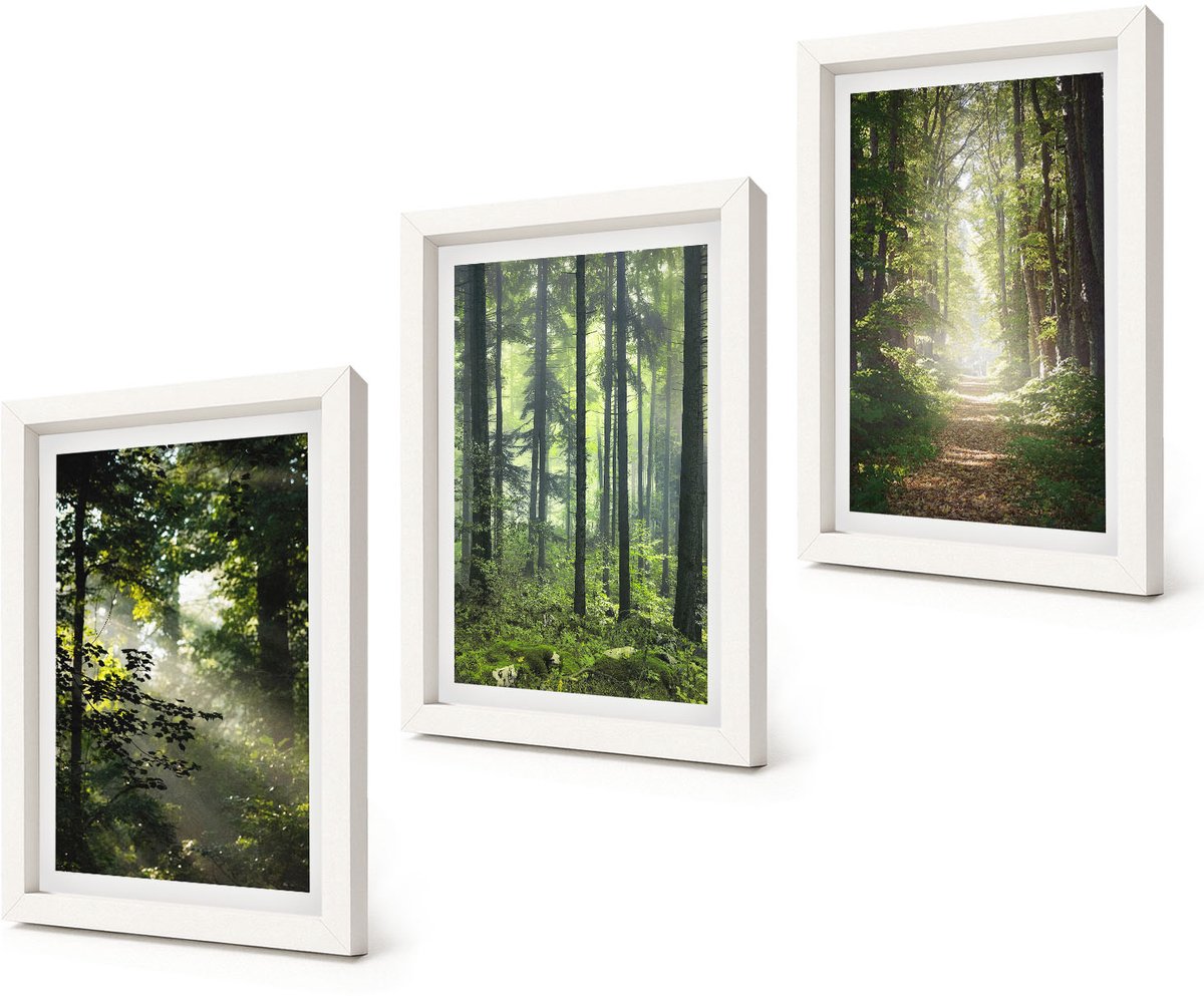 Coloray 3-Delige Schilderij Set - Groene bossen met zonnestralen en een bospad - 20x30 - Muurdecoratie - Interieur Decoratie