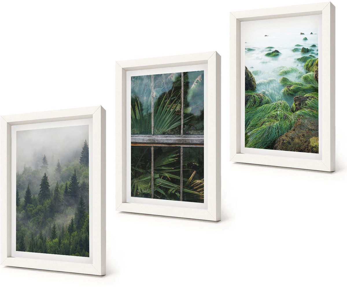 Coloray 3-Delige Schilderij Set - Bos in de mist, rivieroever en kas met planten - 20x30 - Wanddecoratie - Muurdecoratie - Woonkamer - Moderne Wanddecoratie