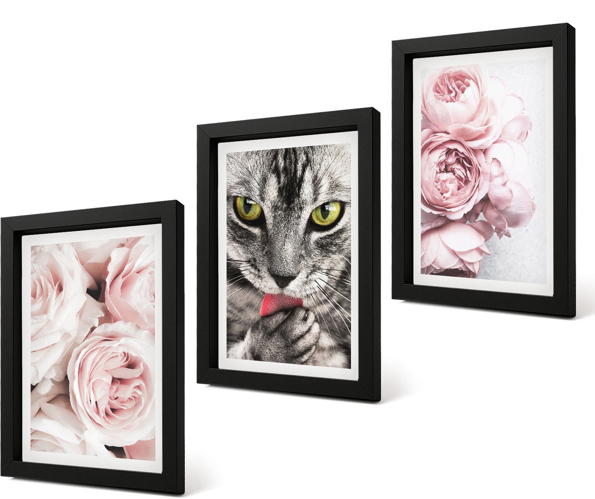 Coloray 4-Delige Schilderij Set - Kat tussen roze rozen en pioenrozen - 20 x 30 cm - Stijlvolle Muurdecoratie - Slaapkamer - Decoratieve Schilderijen