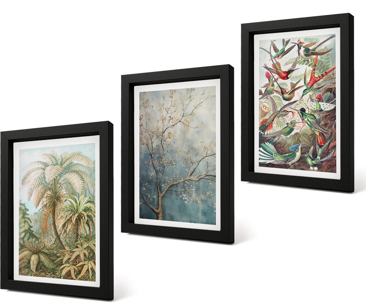 Coloray 4-Delige Schilderij Set - Tropische planten en kleurrijke vogels in de natuur - 20 x 30 cm - Wanddecoratie - Muurdecoratie - Woonkamer