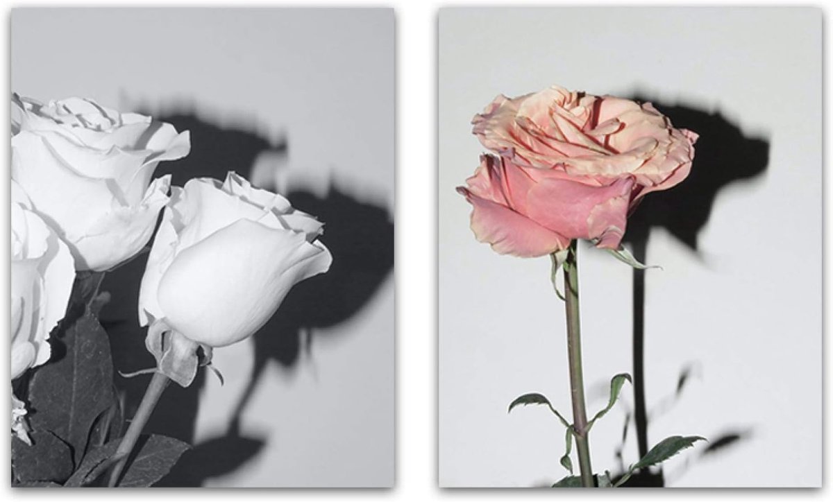 Pink Flower Canvas Painting Nordic White Rose Shadow Wall Art Poster and Print Fashion Scandinavian Living Room Home - ShopVlot