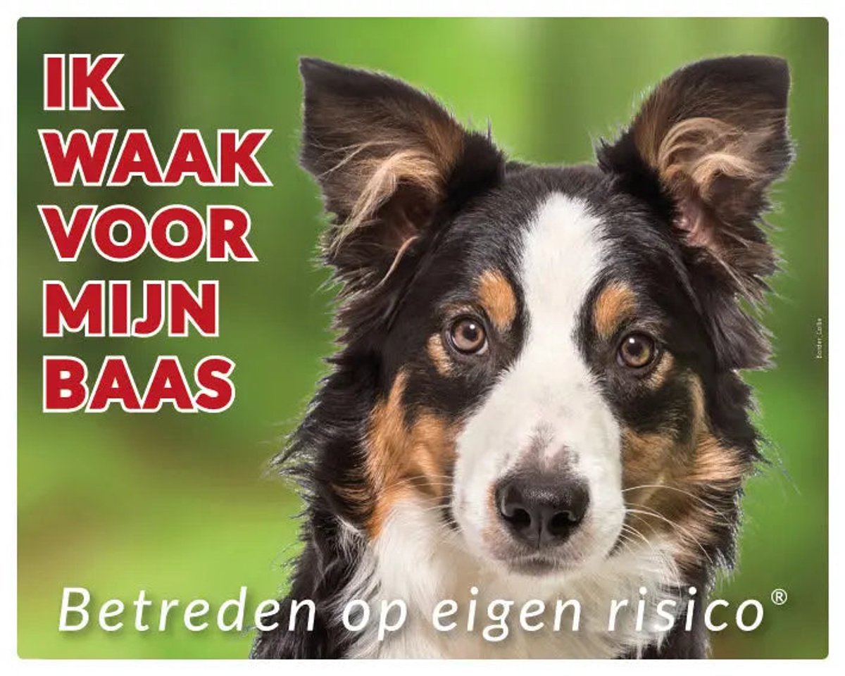 Border Collie Waakbord