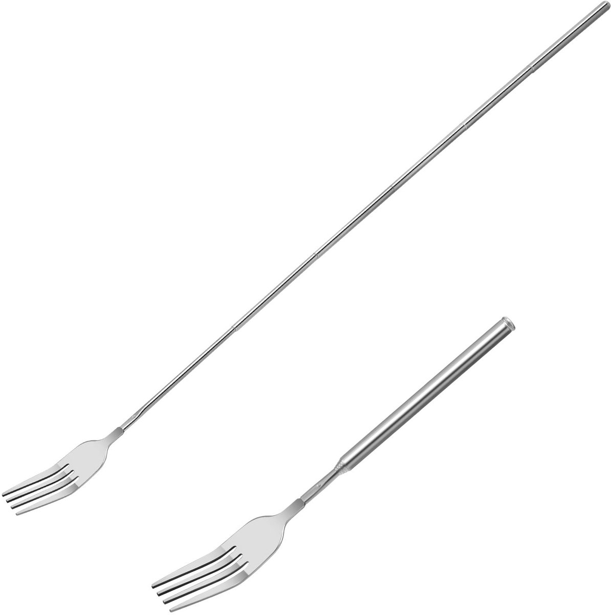 Solidchoice - Telescopische RVS Vork voor BBQ en Fondue
