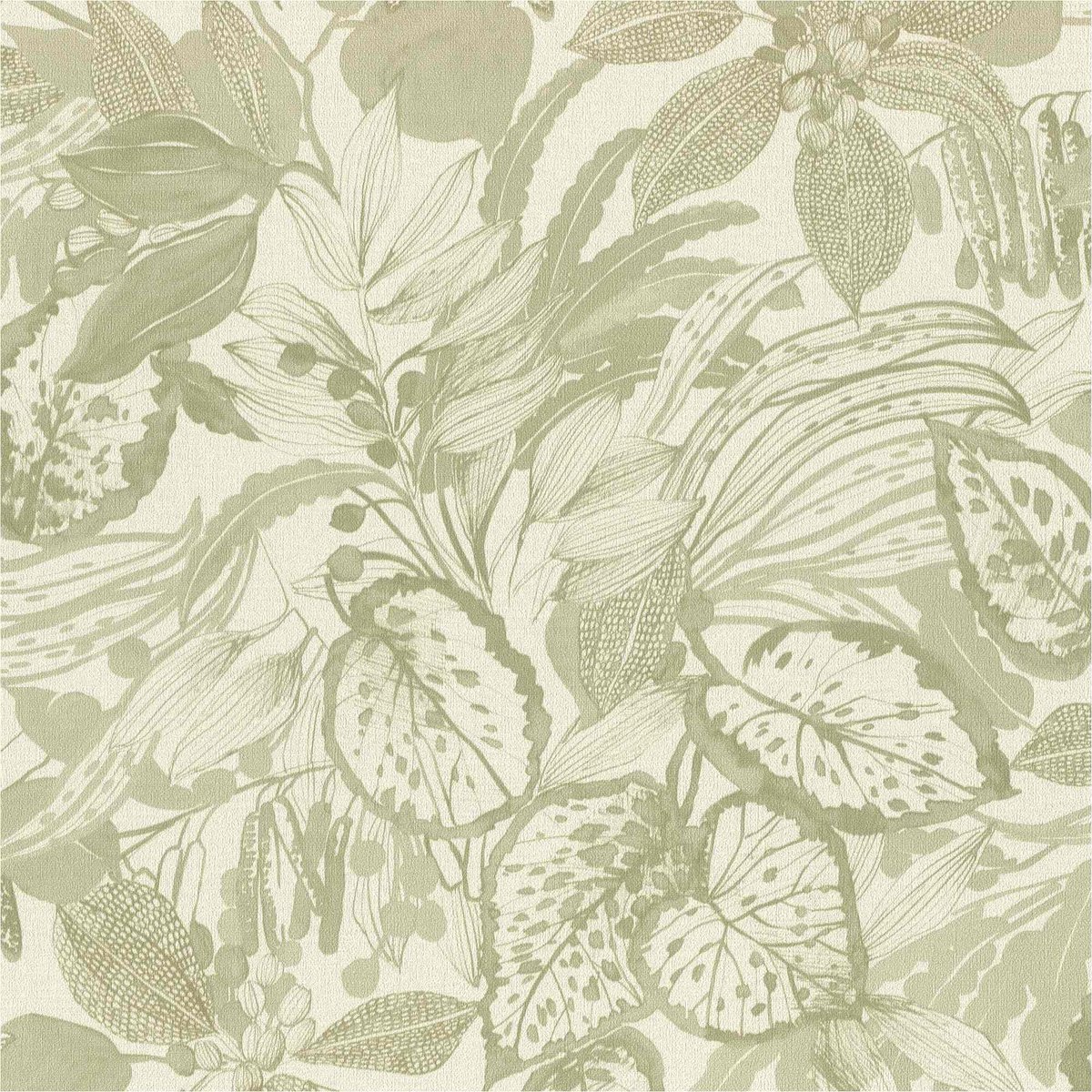 Vliesbehang 554922 bladeren en planten botanisch groen Liverna Rasch
