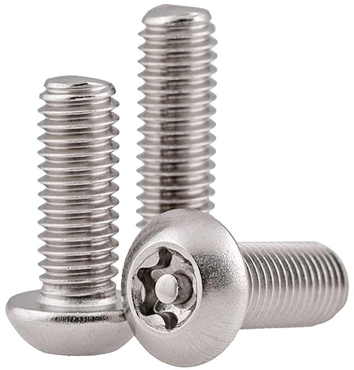 Solidchoice - Set van 10 Ronde Torx Schroeven van RVS (M5×16mm)