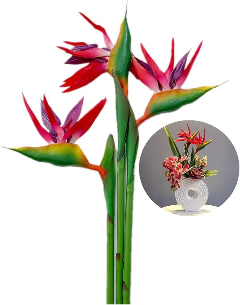 3 stuks grote paradijsvogel 29 inch permanente bloem, Strelitzia imiteert tropische planten, bloemdeel is gemaakt van zacht rubber PU, kunstmatige bloemplanten voor thuiskantoor, bloemstam 0,3 inch
