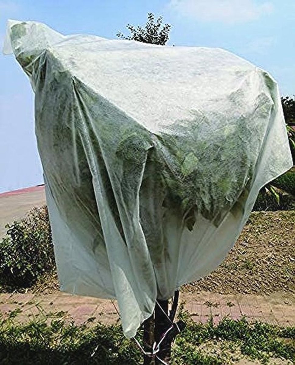 Bescherming Plantenkap voor Buiten - Wit - 3,2 x 1,6 m - Polypropyleen
