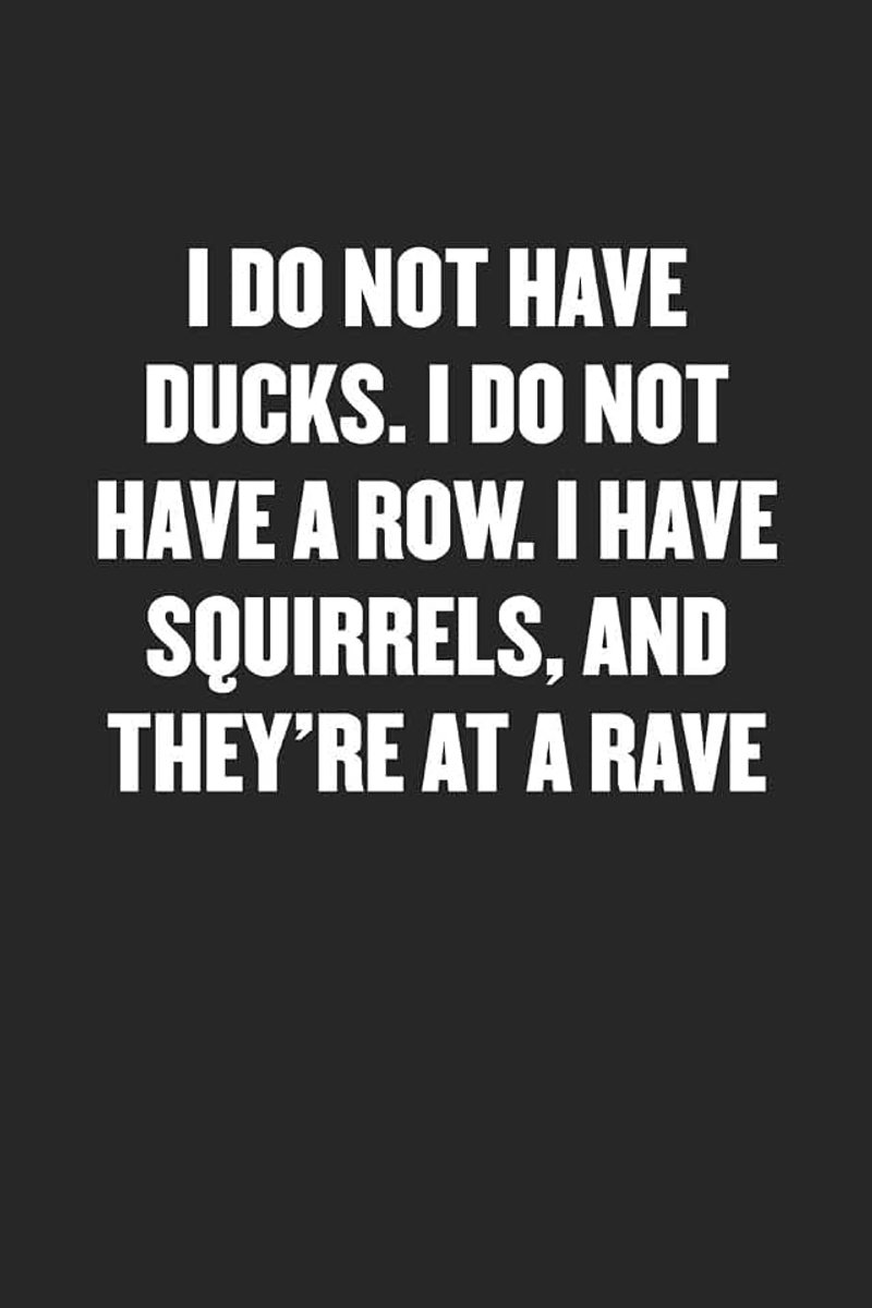 DO NOT HAVE DUCKS. I DO NOT HAVE A ROW. I HAVE SQUIRRELS, AND THEY'RE AT A RAVE: Black Blank Lined Sarcastic Journal - Funny Gift Notebook