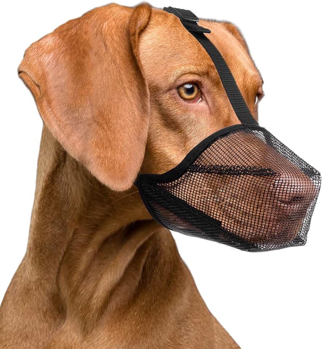 Hondenmuilkorf met ventilatiegaas, ademende muilkorf voor kleine tot middelgrote honden, de oplossing tegen bijten, afval eten van de straat te eten of kauwen (M, Zwart)