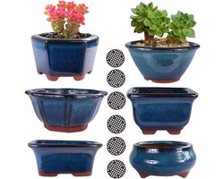 6PACK Geglazuurde Bonsai Pot Planter 3 "4" Kleine Succulente Potten, Yixing Zisha Decoratieve Mame Bonsai Training Pot of Kleine Bloem Cactus Starter Groeiende Planters Containers Blauw