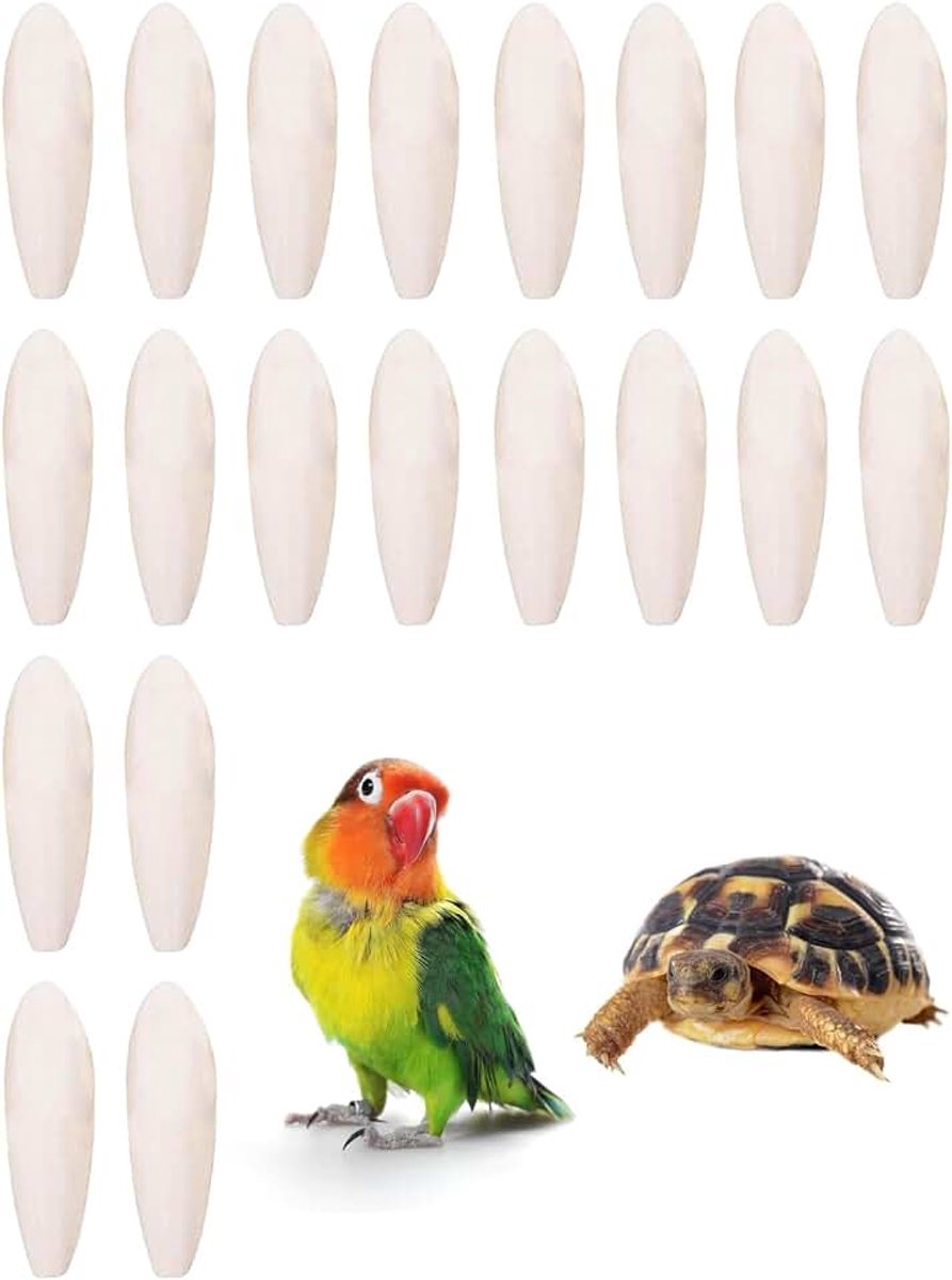 20 stuks sepiabotten voor papegaaien, kauwspeelgoed voor vogels, reptielen, schildpadden en slakken, met metalen standaard, 4-5 cm