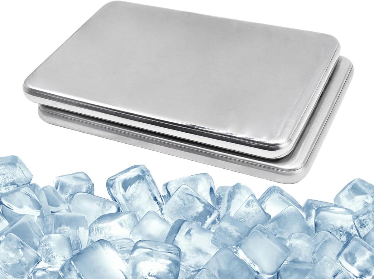 Ijs Packs - Koel elementen - Lunchbox Koelen - Roestvrij staal - 2 Stuks - Zilver
