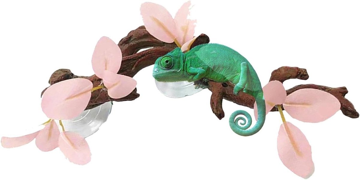 Reptielen Klimtak - Slangenhuis Decoratie - Terrarium Inrichten - Natuurlijk Uiterlijk - 30.5 cm - Bruin
