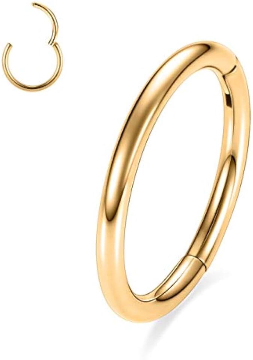 Hengkaixuan Neusring van 316L chirurgisch staal, scharnier, kraakbeen, helix, lip, tragus, conch, septumpiercing, oorlel voor vrouwen