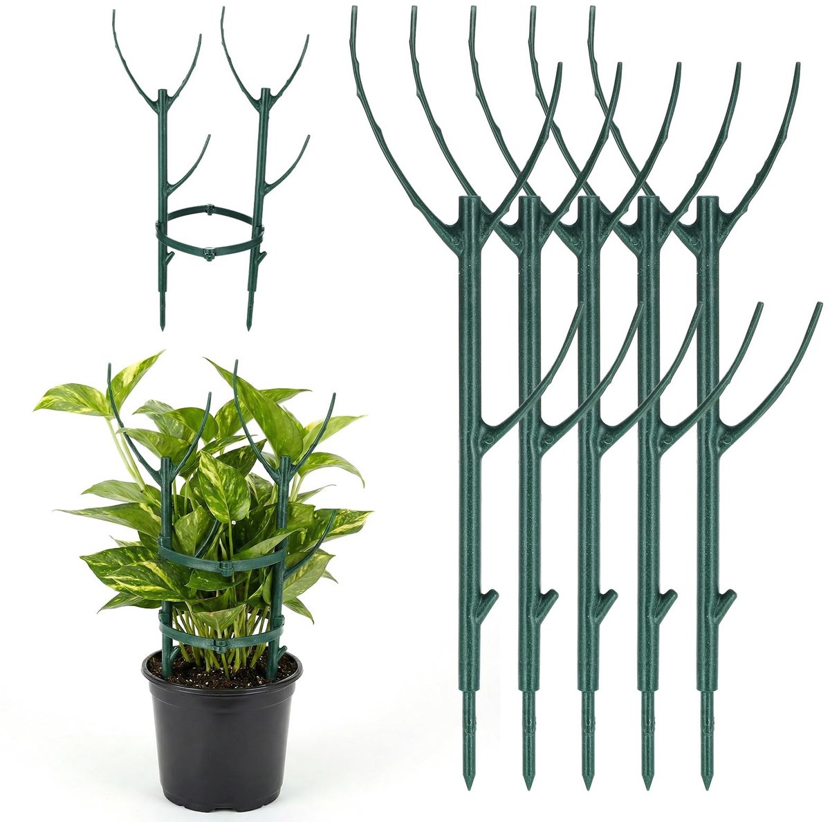 Dailygoods - 5Pcs Plant Ondersteuning Pole Stapelbaar Monstera Plant Ondersteuning Tuinplanten Stakes Voor Indoor Outdoor Klimmen Planten Houder Stok