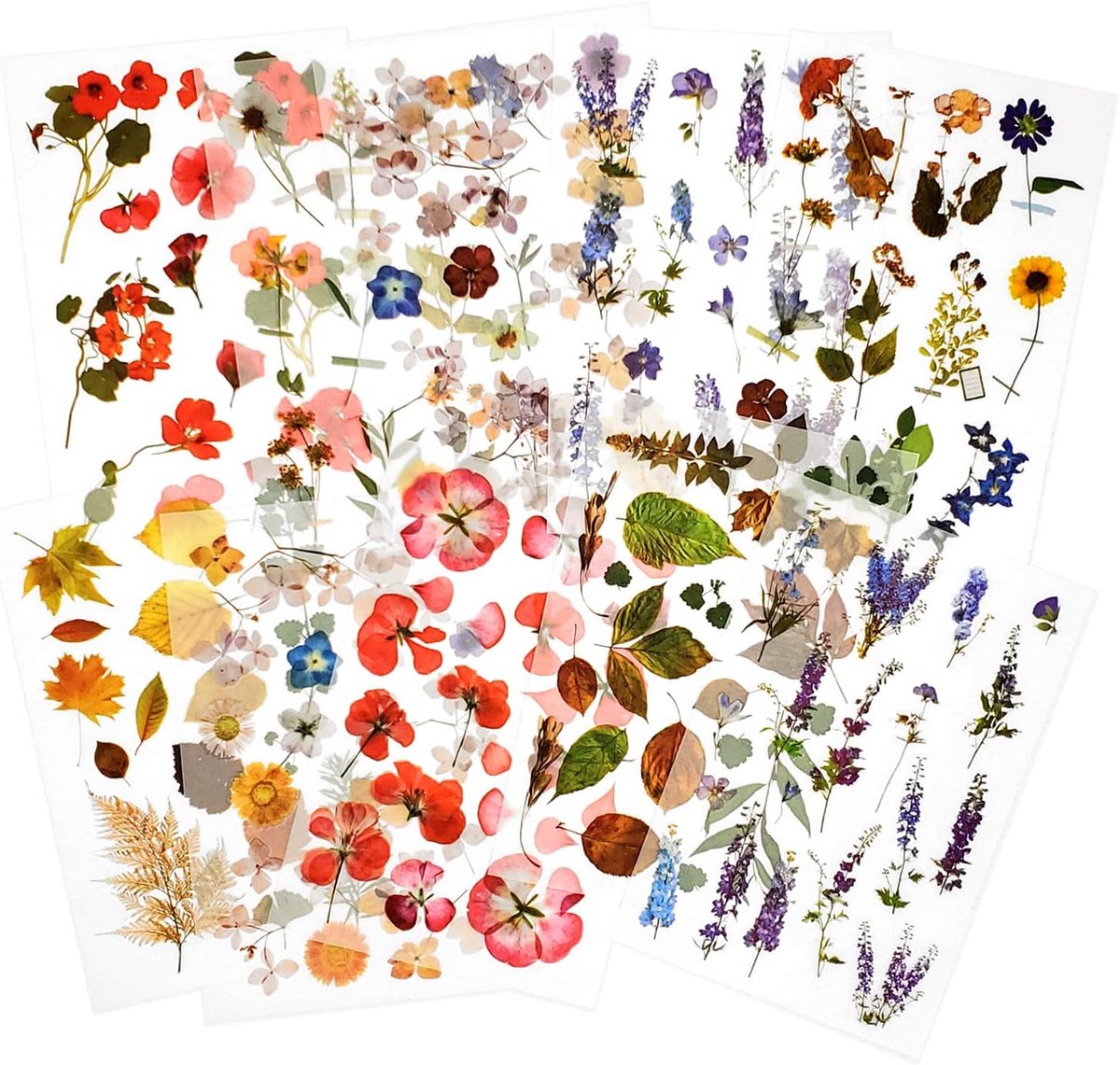 10 Rub on Vellen wrijven op Transfer Sticker Scrapbook Stickers Bloem Stickers Decoratie Sticker Planner Stickers Plant Stickers voor Scrapbooking Diary Album Journals DIY Arts and
