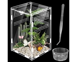 Terrarium voor reptielen en amfibieën, van glas, draagbaar, voor spinnen, schorpioenen, kevers, aanbidders, 20 x 12 x 12 cm