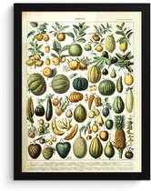 Cadre photo avec affiche - Fruits - Nourriture - Design - Vintage - Adolphe Millot - 30x40 cm - Cadre pour affiche