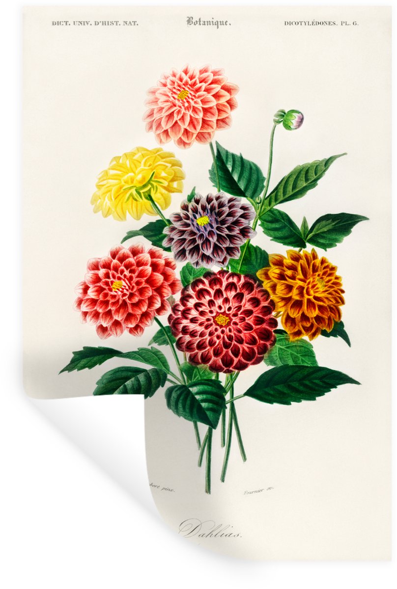 Muurstickers - Sticker Folie - Botanica - Vintage - Bloemen - 20x30 cm - Plakfolie - Muurs