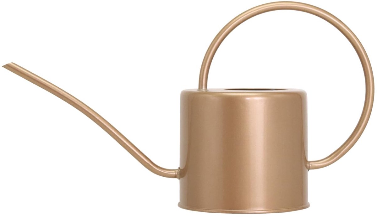 Binnengieter - 1,3 liter metalen gieter voor kamerplanten