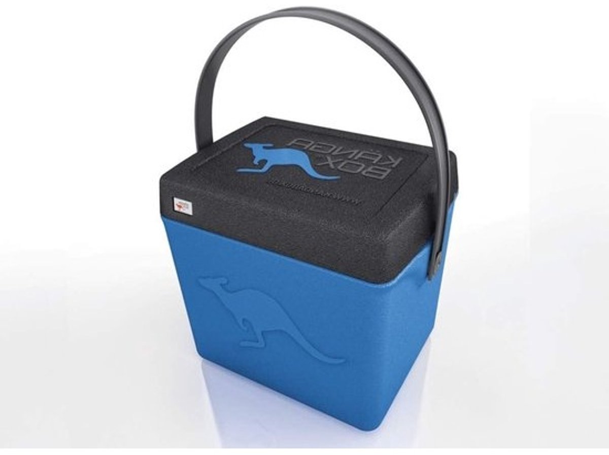 Thermobox Koelbox - Isolatiebox Opbergbox - Boodschappen Vervoeren - Vormvast Schokabsorberend - 20 Liter - Blauw